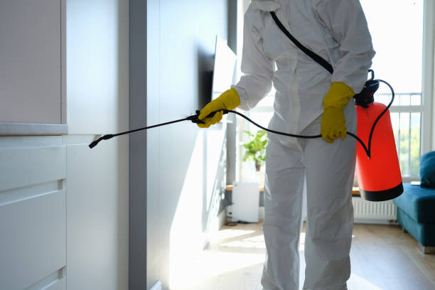 Best Mold Remediation  in Lyons, NJ