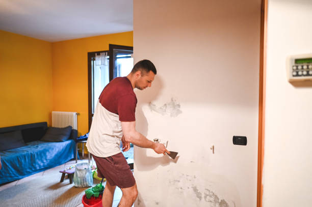 Best Mold Testing  in Lyons, NJ